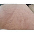 Okoume faced commercial plywood